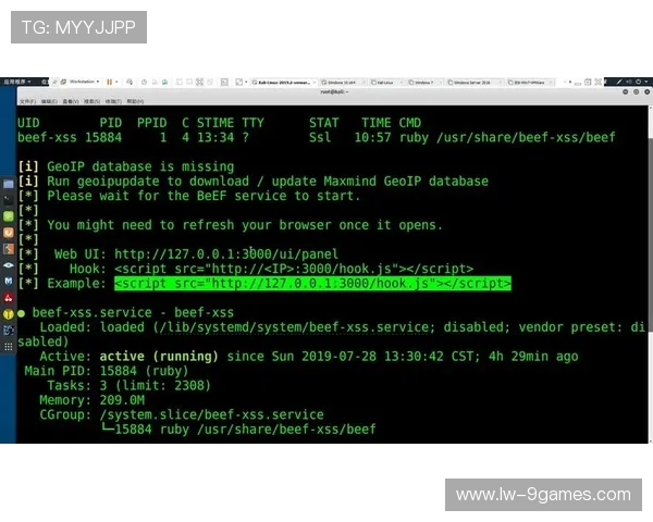 利用XSS漏洞将U盘插入设备进行游戏操作的可行性探讨